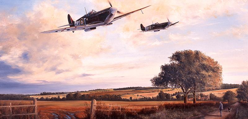 Spitfires of 309 Squadron by Stephen Brown - Greetings Card M277