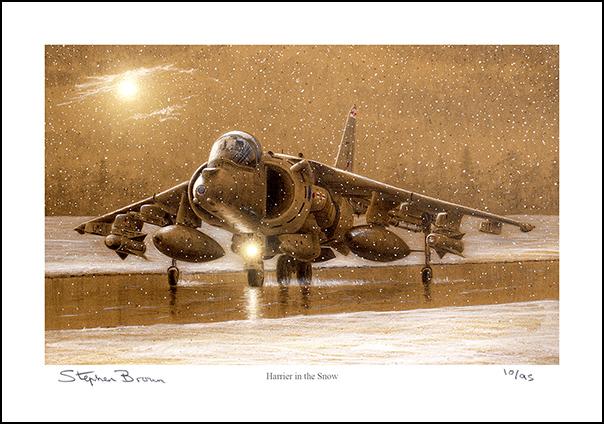Harrier in the Snow - LE42