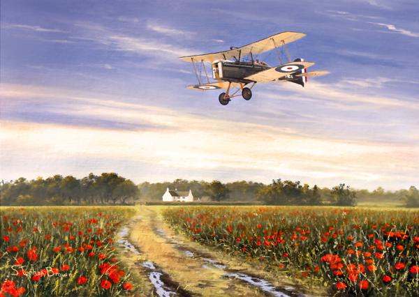 A Time To Remember by Stephen Brown - SE5a Greetings Card M365