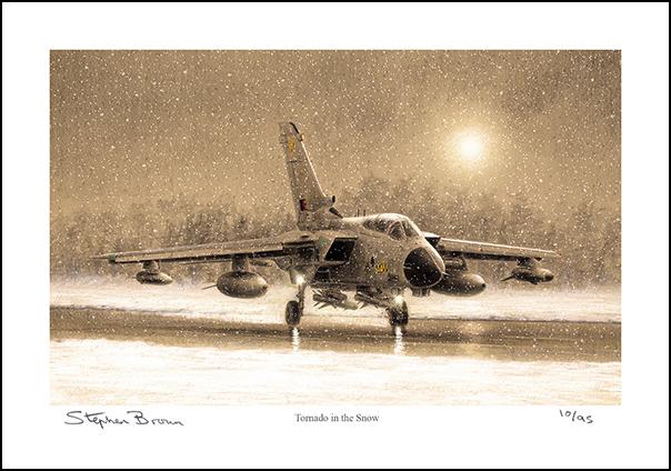 Tornado in the Snow - LE75
