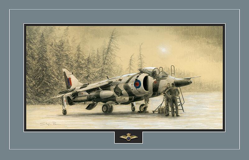 Arctic Harrier by Stephen Brown - Original Drawing
