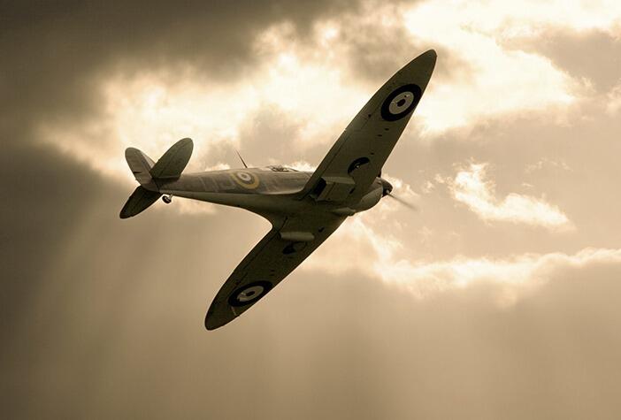Freedom Fighter by Stephen Brown - Spitfire Greetings Card M579