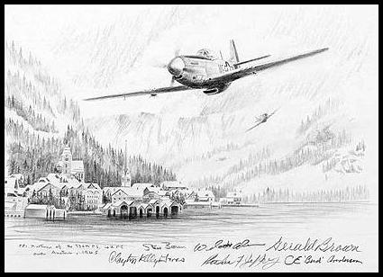Mustangs Over the Reich by Stephen Brown