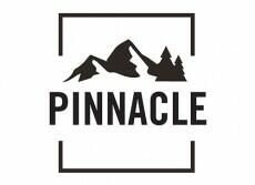 Pinniacle logo with black on white showing mountains