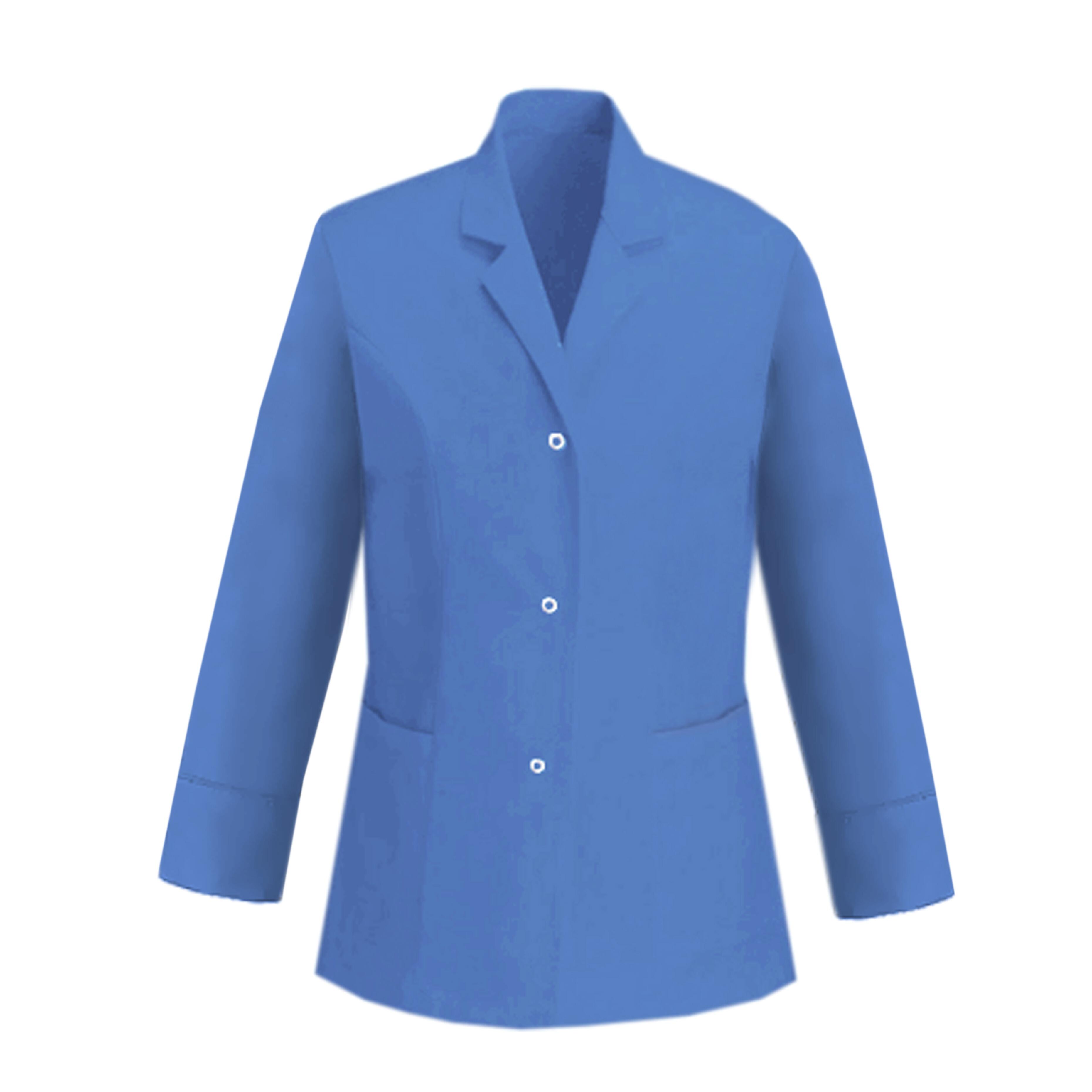 Ladies Long Sleeve Healthcare Tunic Light Blue