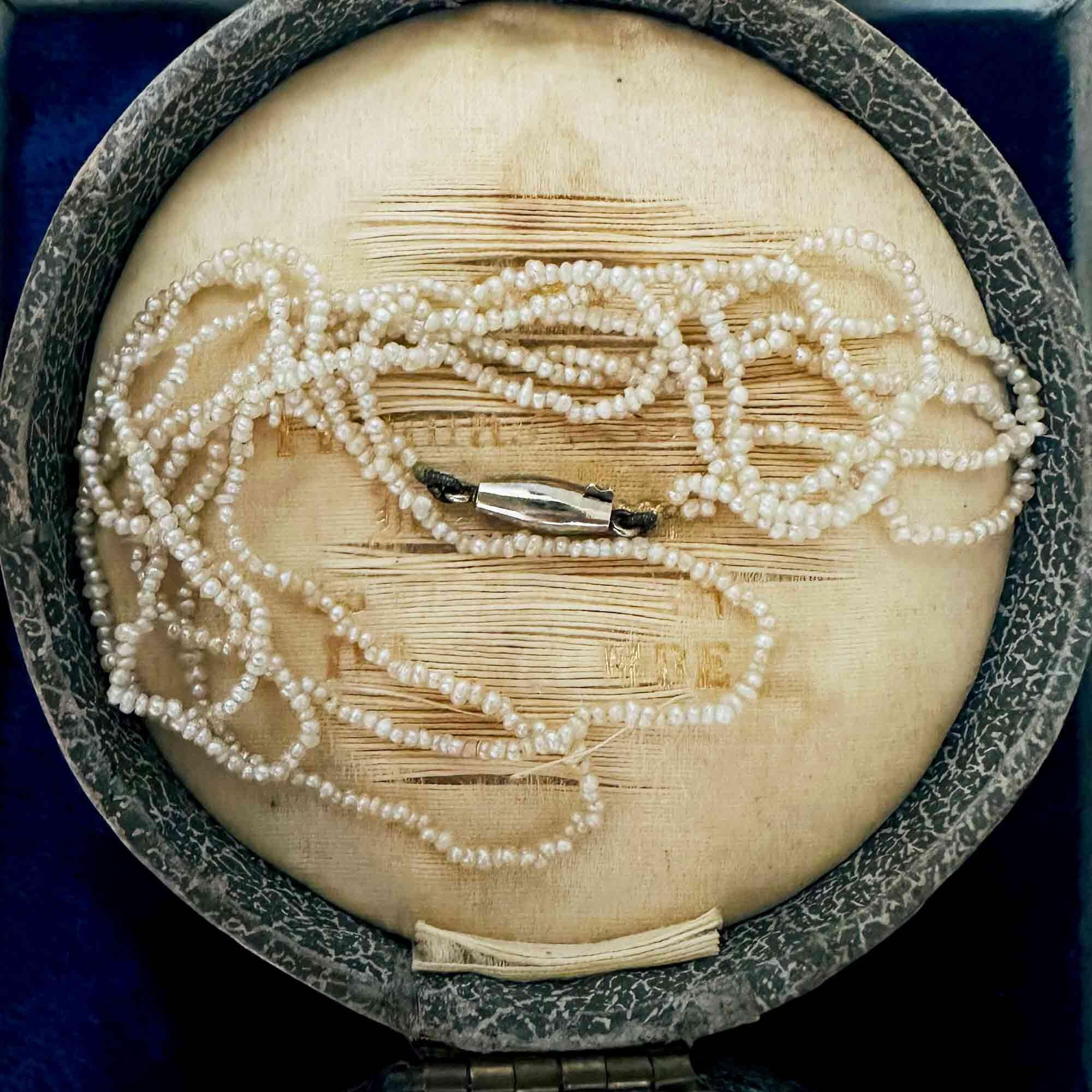 Edwardian seed pearl 2 row necklace on 18ct white gold torpedo clasp on antique box