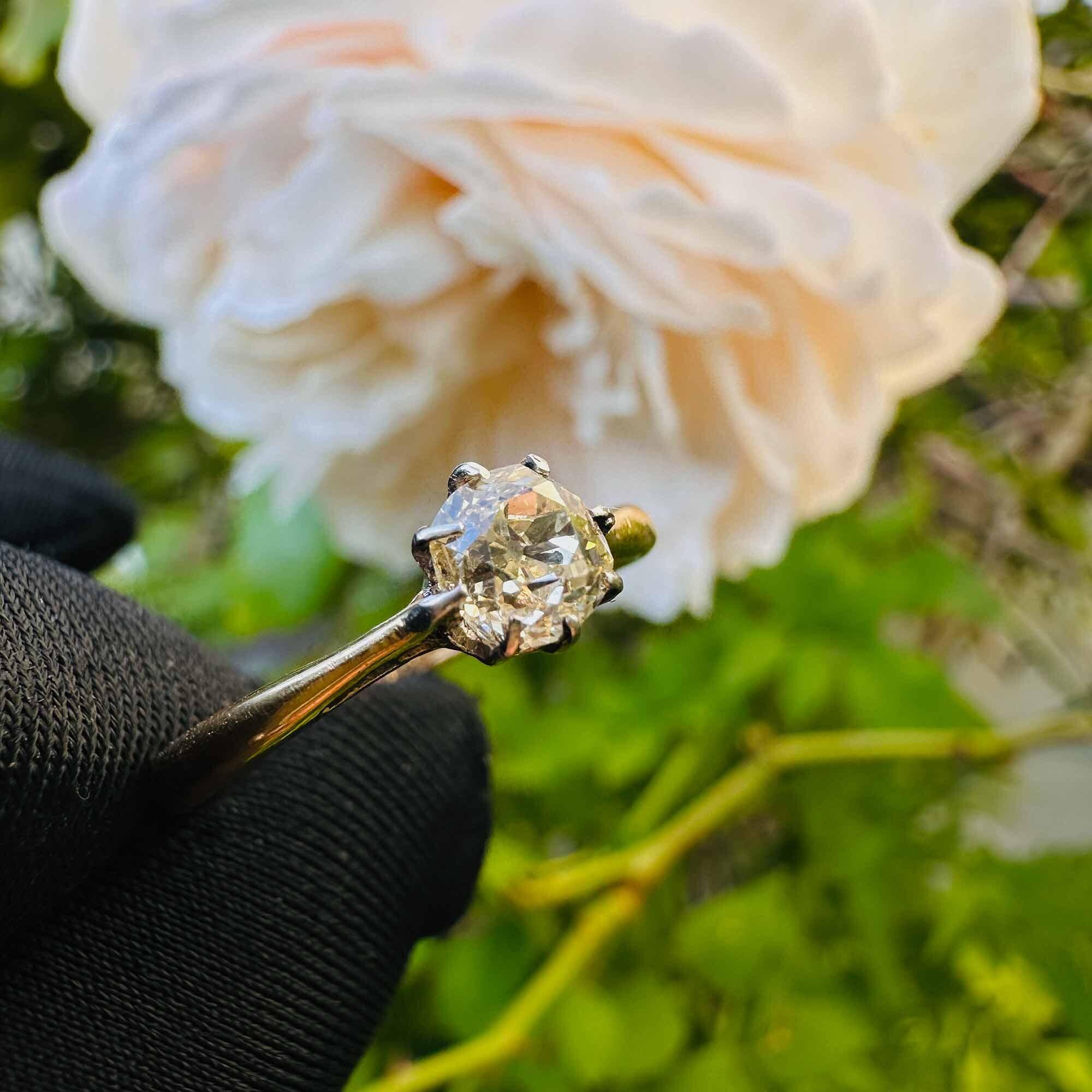 Antique Diamond Solitaire Engagement Ring, 0.50ct with David Austin rose in background