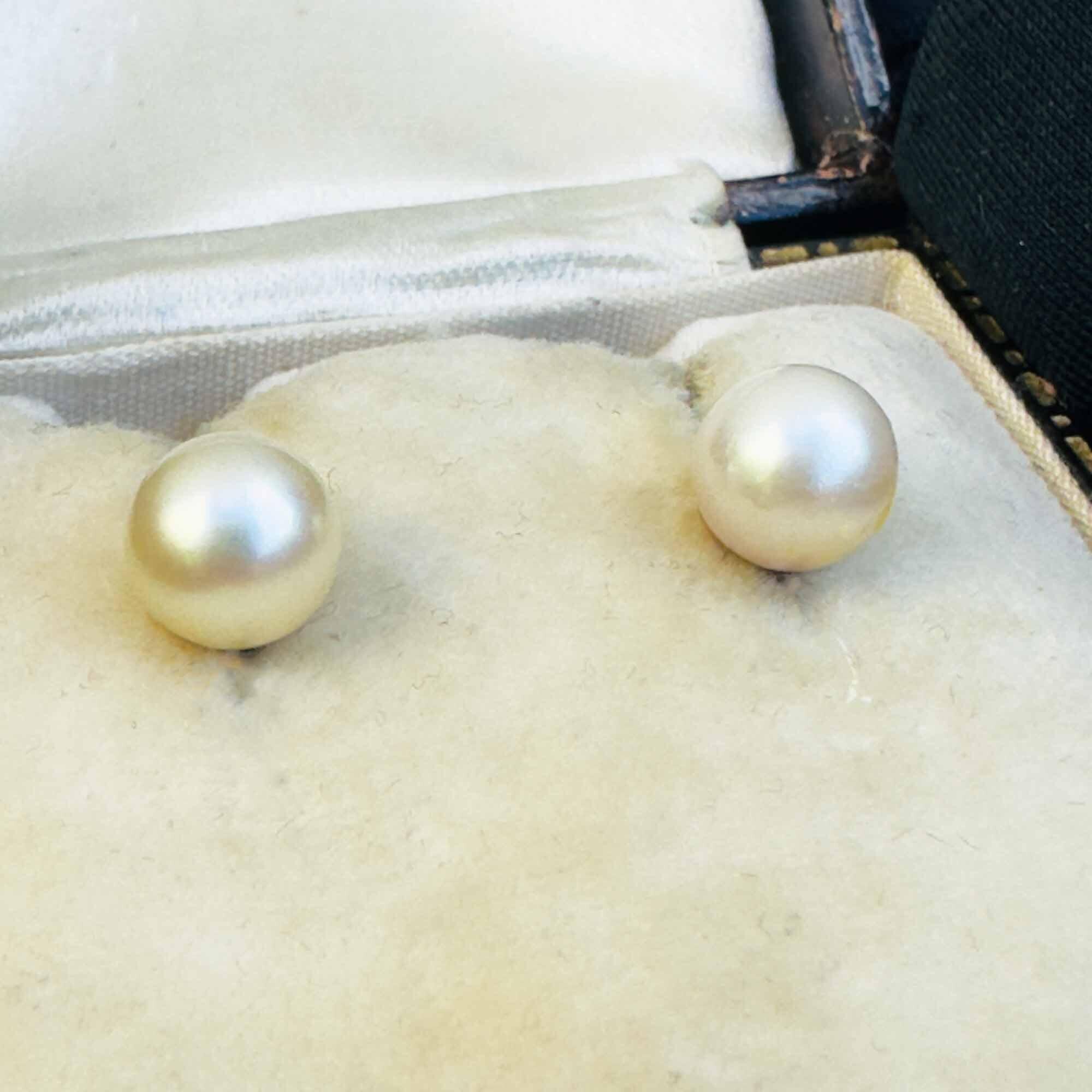contemporary pair of cultured saltwater pearl stud earrings in 9ct yellow gold