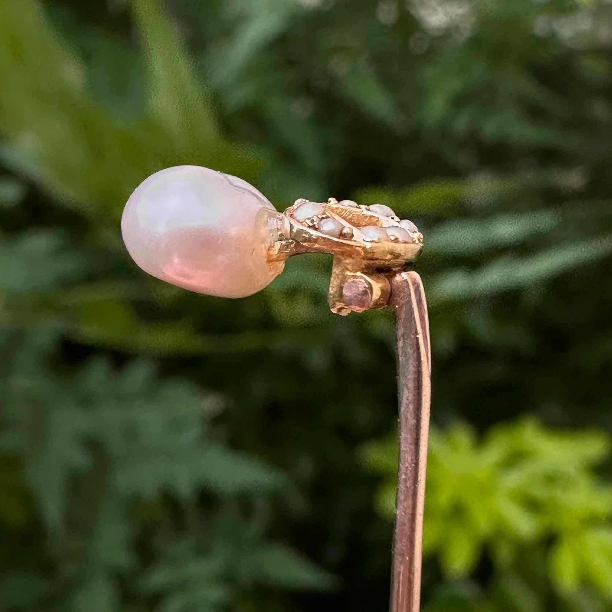 Edwardian 15ct yellow gold stick pin with a natural pearl drop on hinge