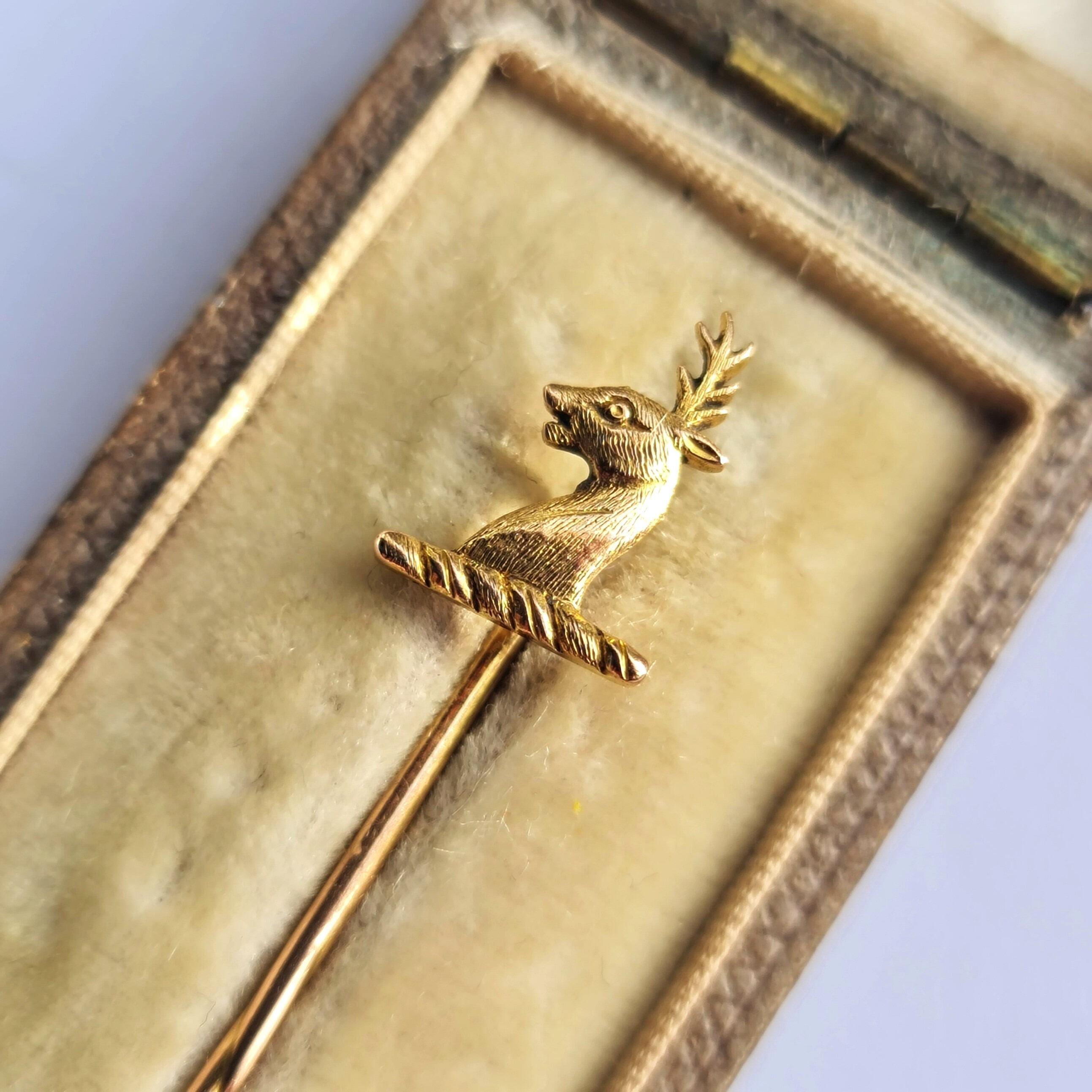 Antique Edwardian 9ct yellow gold stag's head profile tie, stick or lapel pin