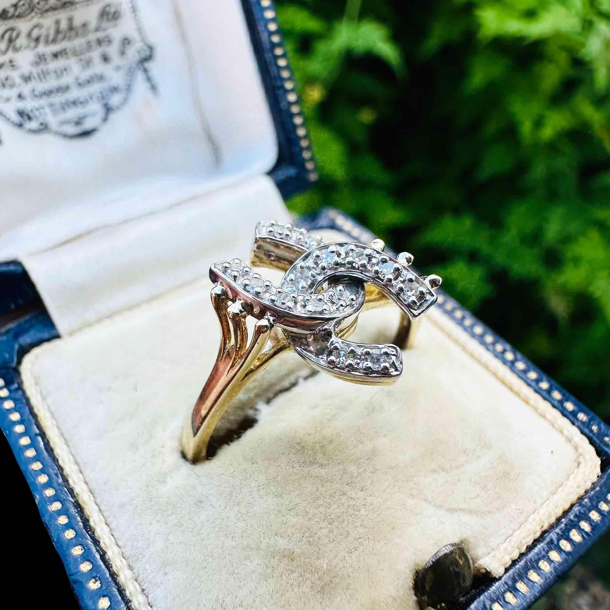 9k Gold Double Horseshoe Diamond Ring, displayed in a  antique box with a garden background.