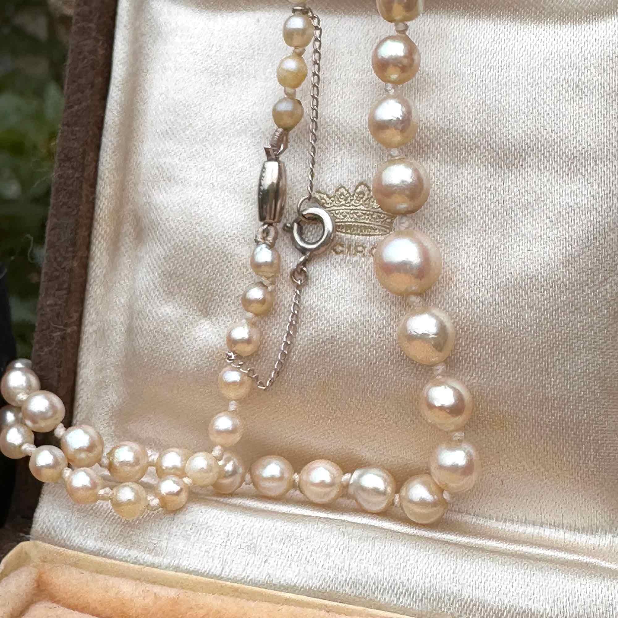 Vintage Saltwater cultured graduated Pearl necklace on 9ct white gold barrel clasp in original Ciro box.