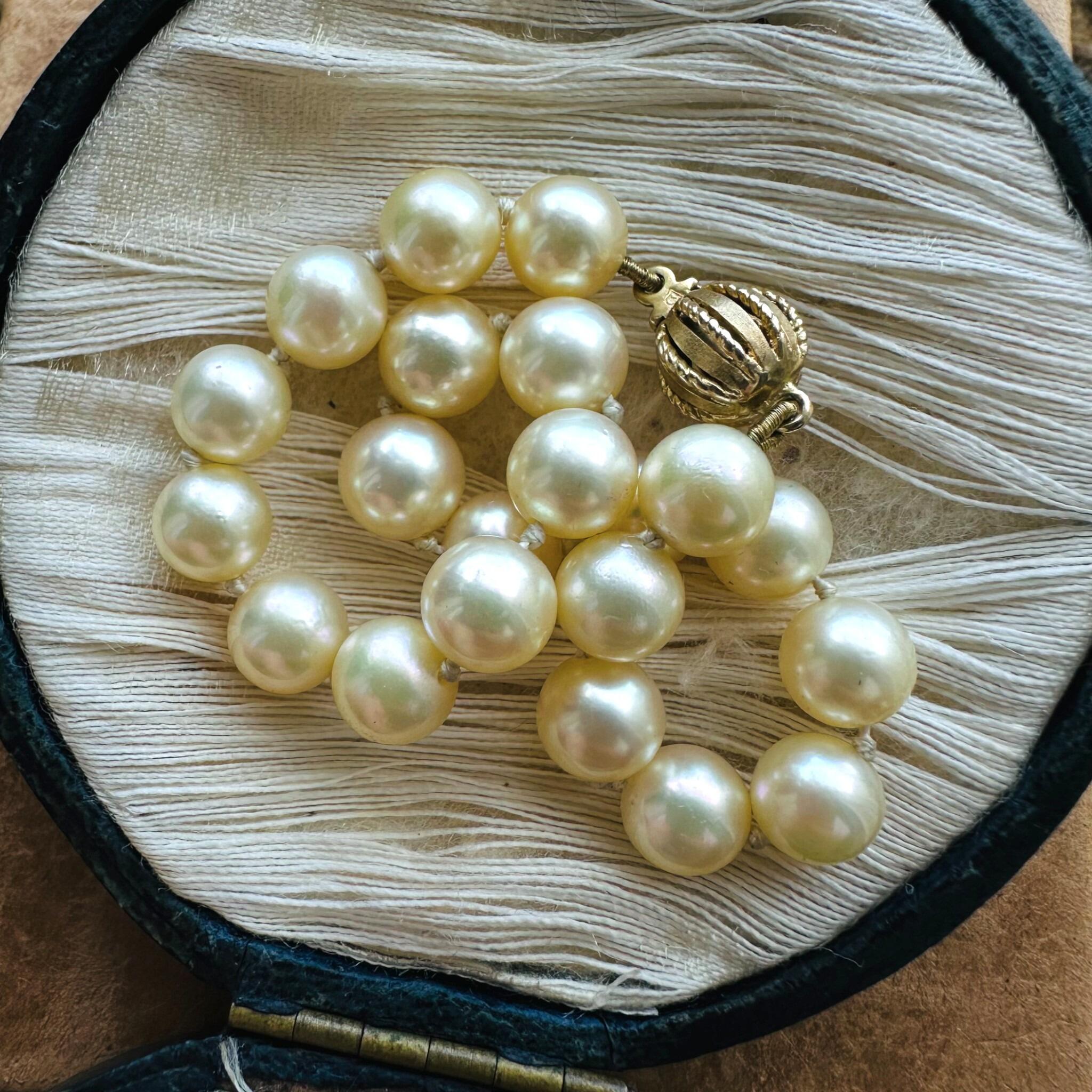 Cultured Saltwater Pearl Bracelet with 9ct Gold Ball Clasp, displayed in antique box.