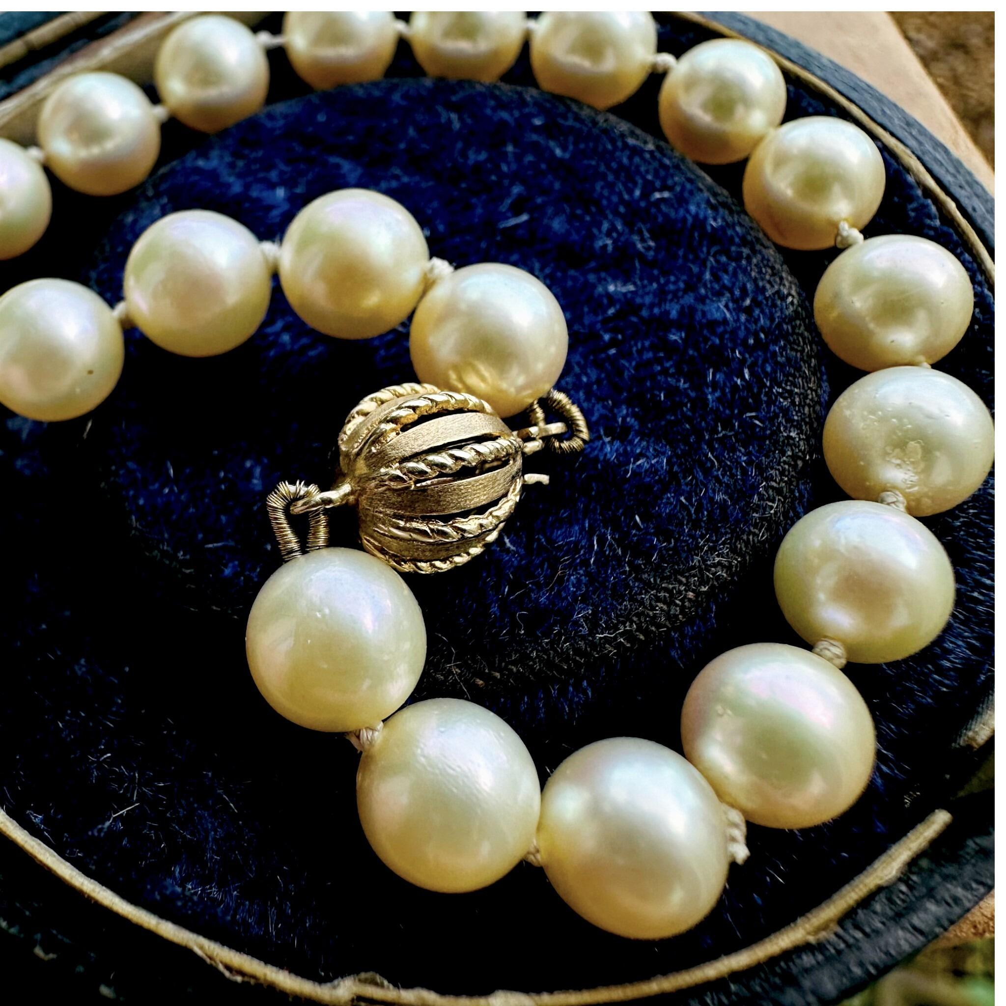 Cultured Saltwater Pearl Bracelet with 9ct Gold Ball Clasp  displayed in antique box