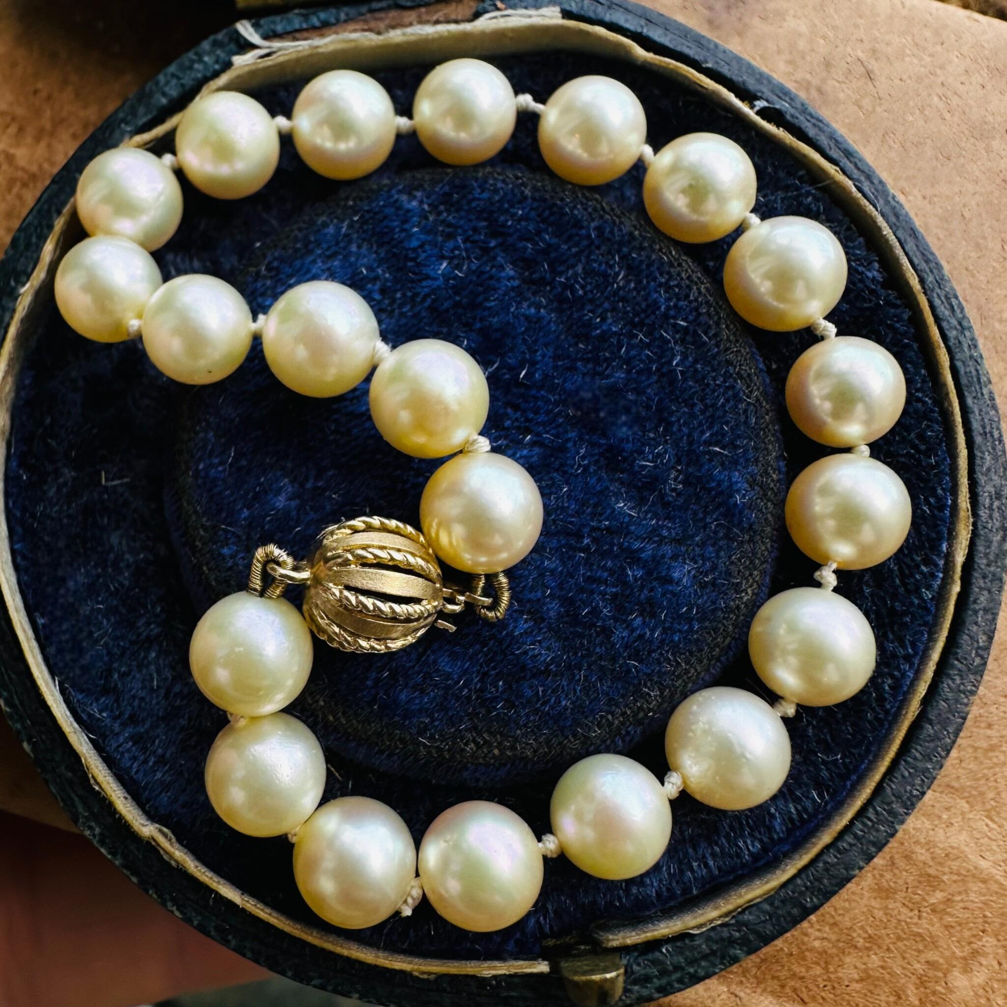 Cultured Saltwater Pearl Bracelet with 9ct Gold Ball Clasp  displayed in antique box