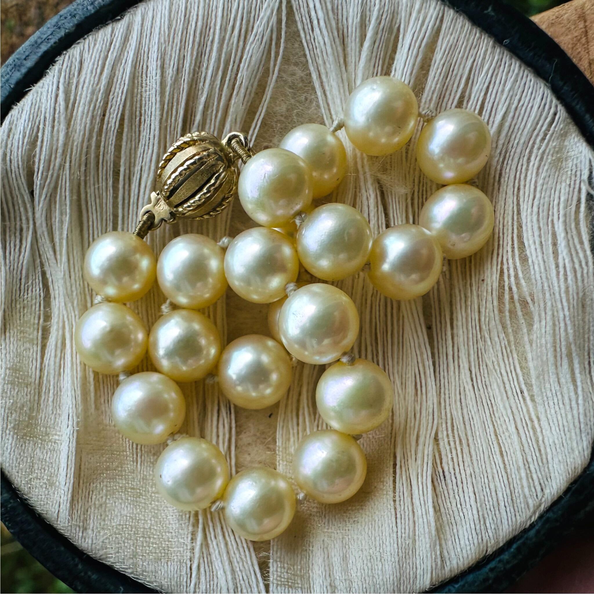 Cultured Saltwater Pearl Bracelet with 9ct Gold Ball Clasp  displayed in antique box