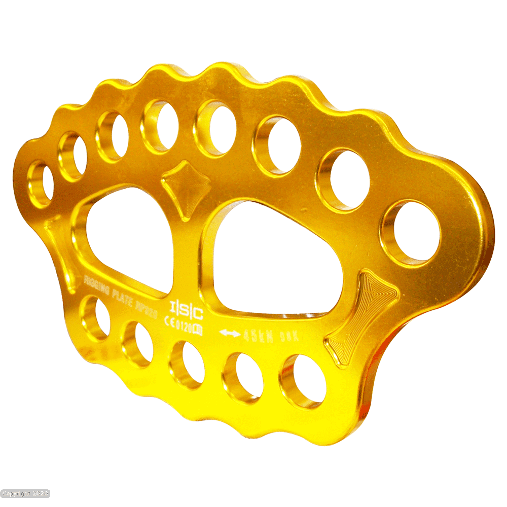ISC Rigging Plate - Gold - Large