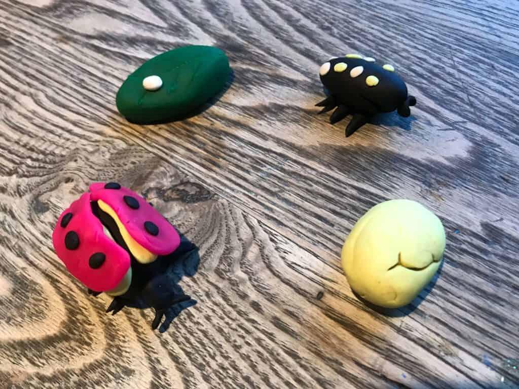 ladybug-life-cycle-1024x768.jpg