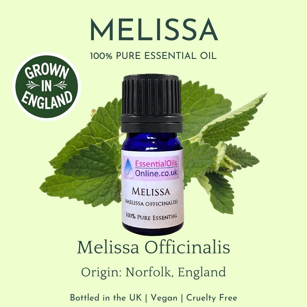 Melissa essential oil information