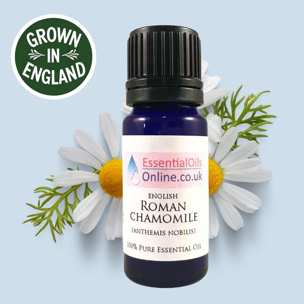 Roman Chamomile essential oil