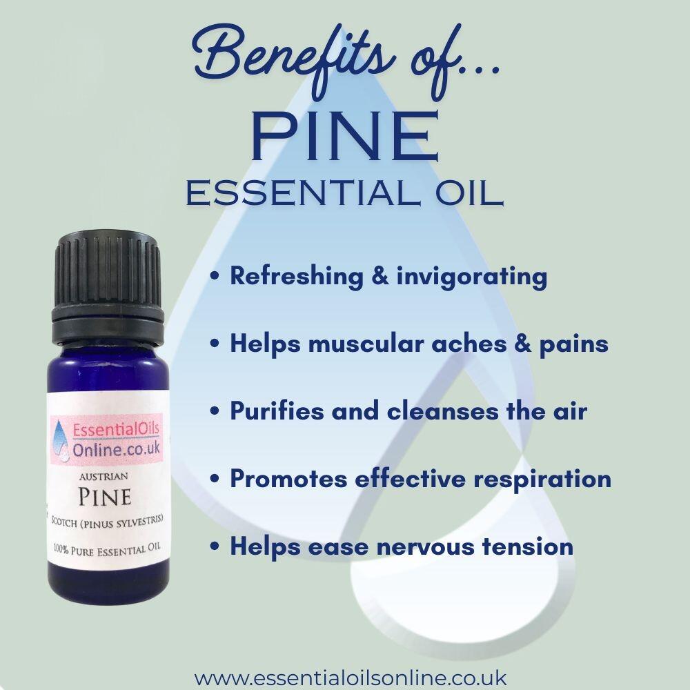 Pine essential oil benefits