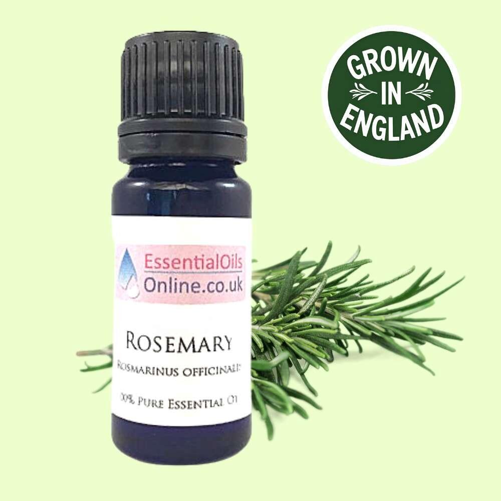 English Rosemary oil