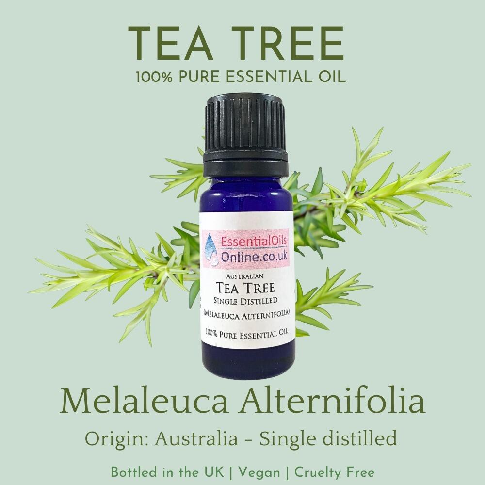 Tea Tree essential oil information