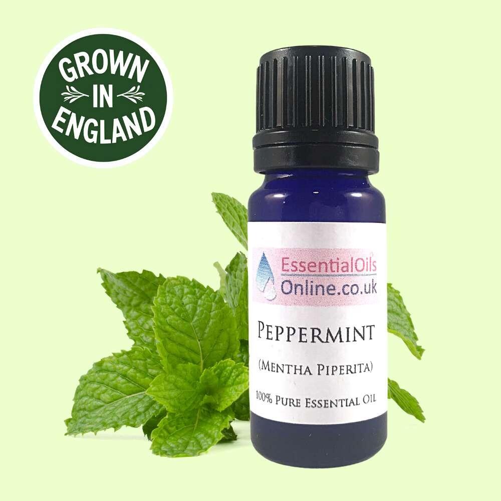Peppermint Essential Oil UK