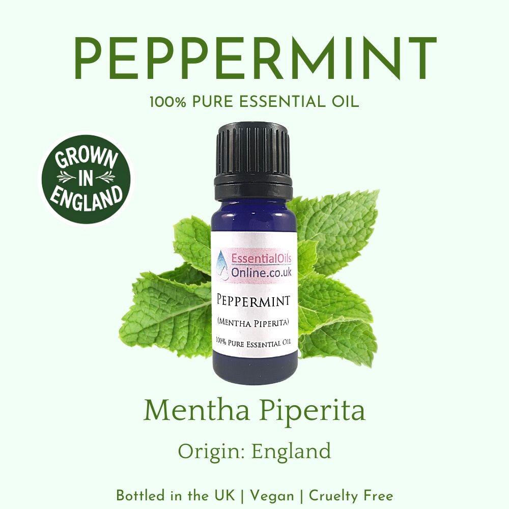 Peppermint Essential Oil Information
