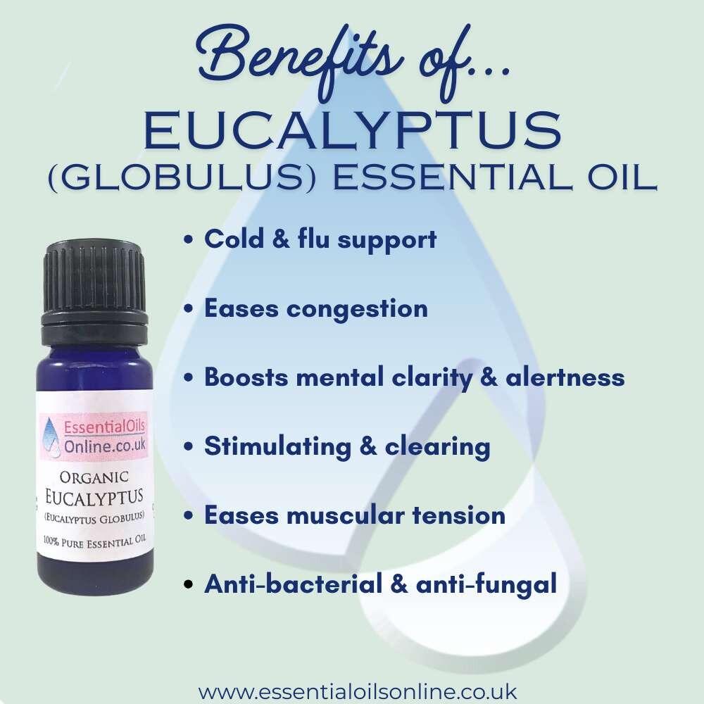 Organic Eucalyptus essential oil benefits
