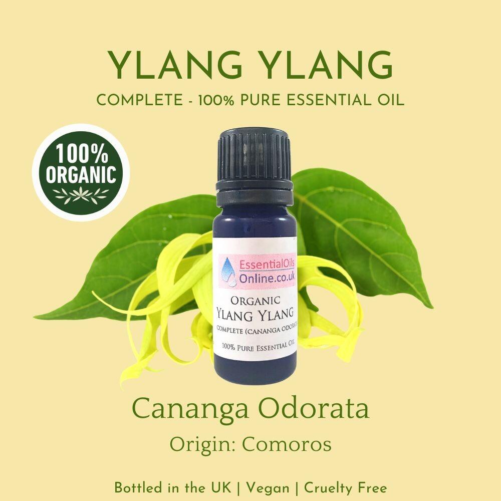 Organic Ylang Ylang essential oil information