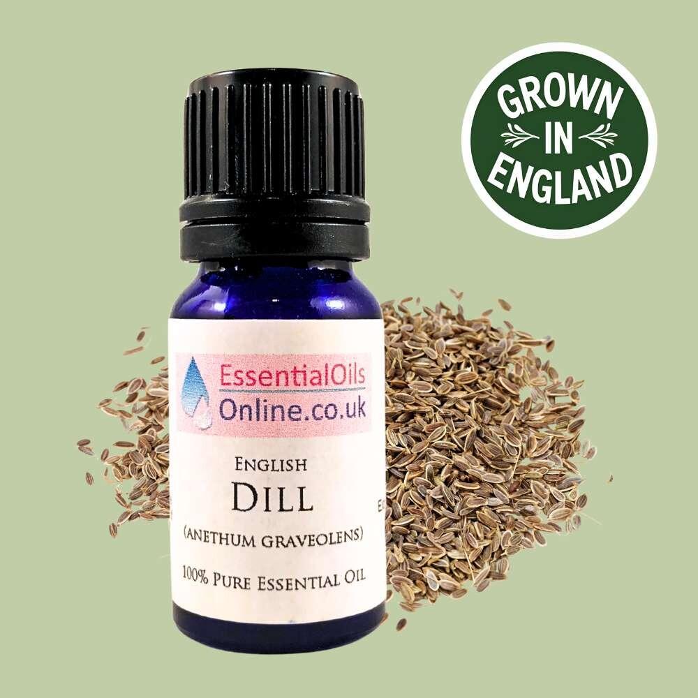 Dill Essential oil