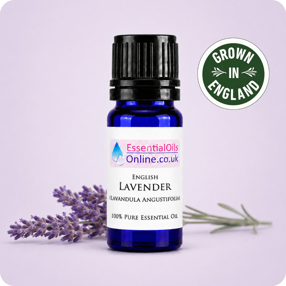 English lavender essential oil - Grown in England
