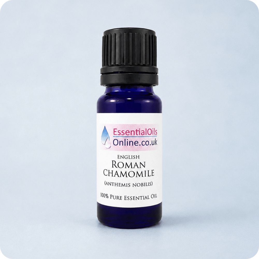 Roman Chamomile essential oil English Anthemis Nobilis