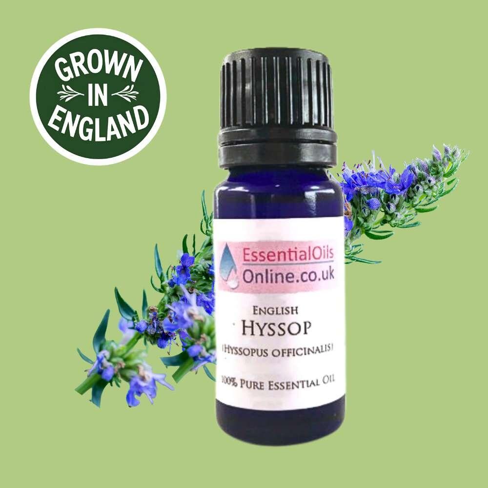 Hyssop Essential Oil UK