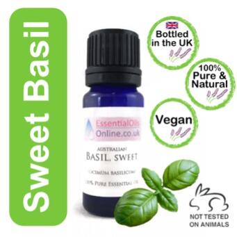 Sweet Basil essential oil Ocimum Basilicum