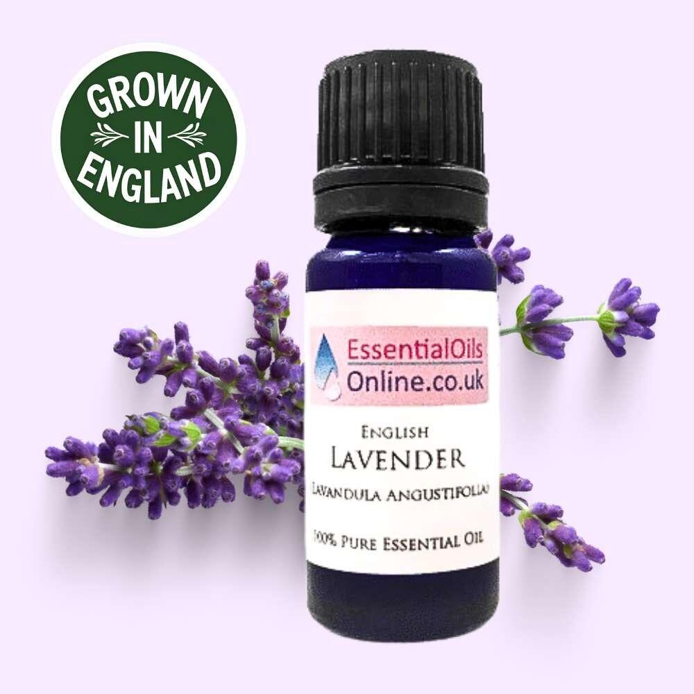 English Lavender essential oil