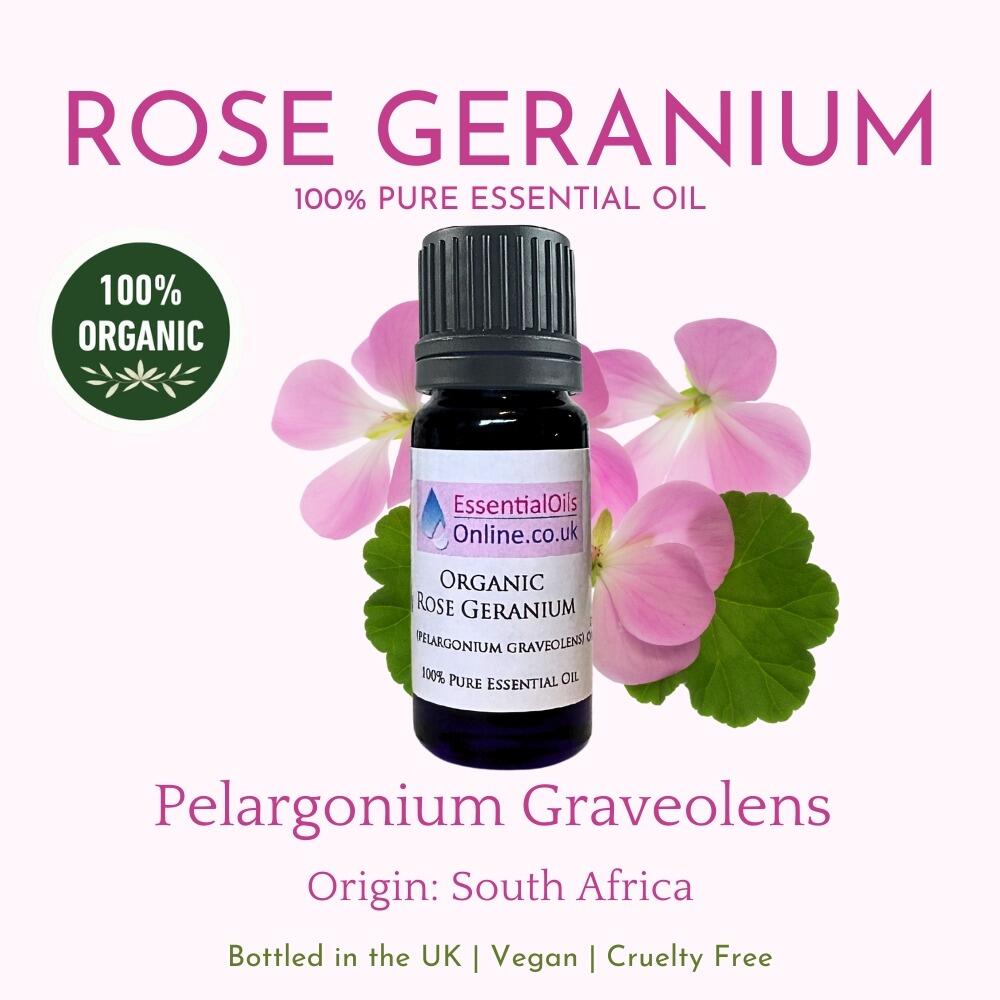 Organic Geranium essential oil information