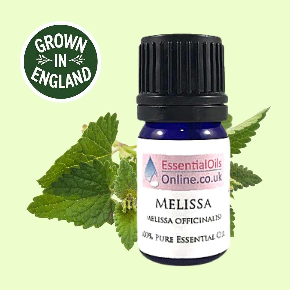 English Melissa essential oil