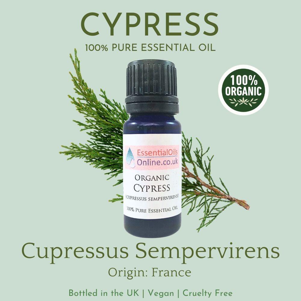 Organic cypress essential oil information