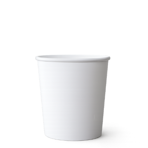 Type S50 (525ml) Ice Cream Tubs