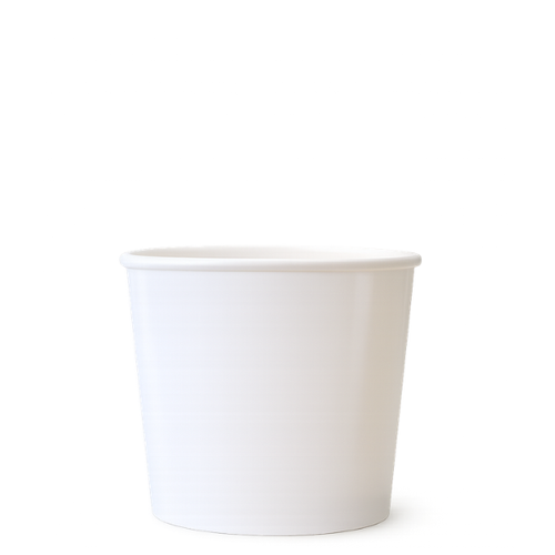 Type S75 (750ml) Ice Cream Tubs
