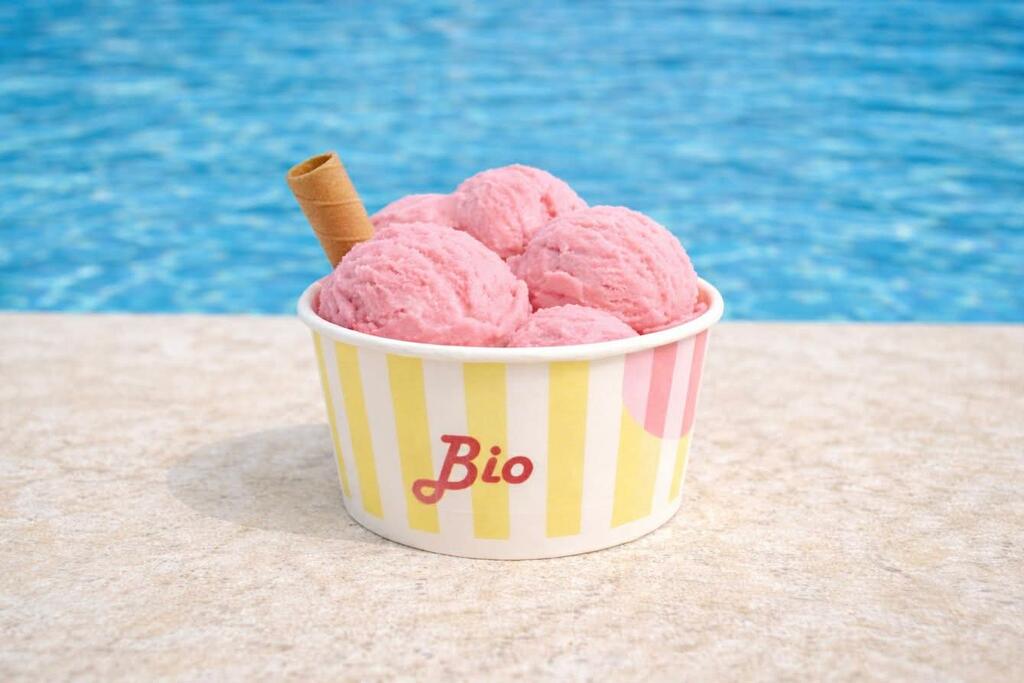 Ice Cream Tubs Wholesale UK – The Complete Guide to Choosing the Right Takeaway Ice Cream Tubs