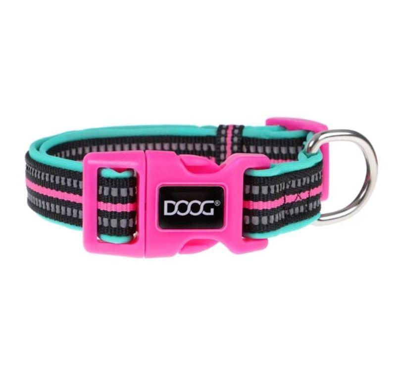 DOOG Neon Hi-Vis Dog Collars - Rin Tin Tin