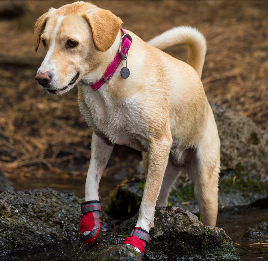 Ruffwear Grip Trex All Terrain Protective Dog Shoes in Red Currant