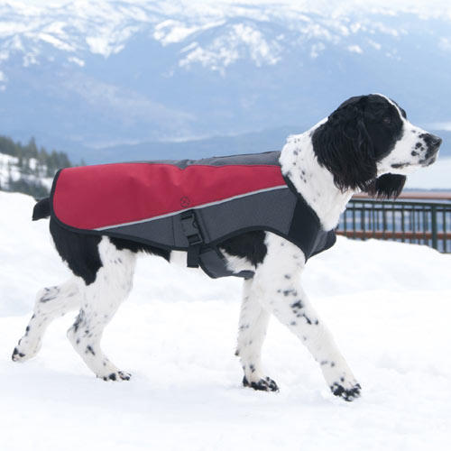 EzyDog Element Jacket All Weather Dog Coat