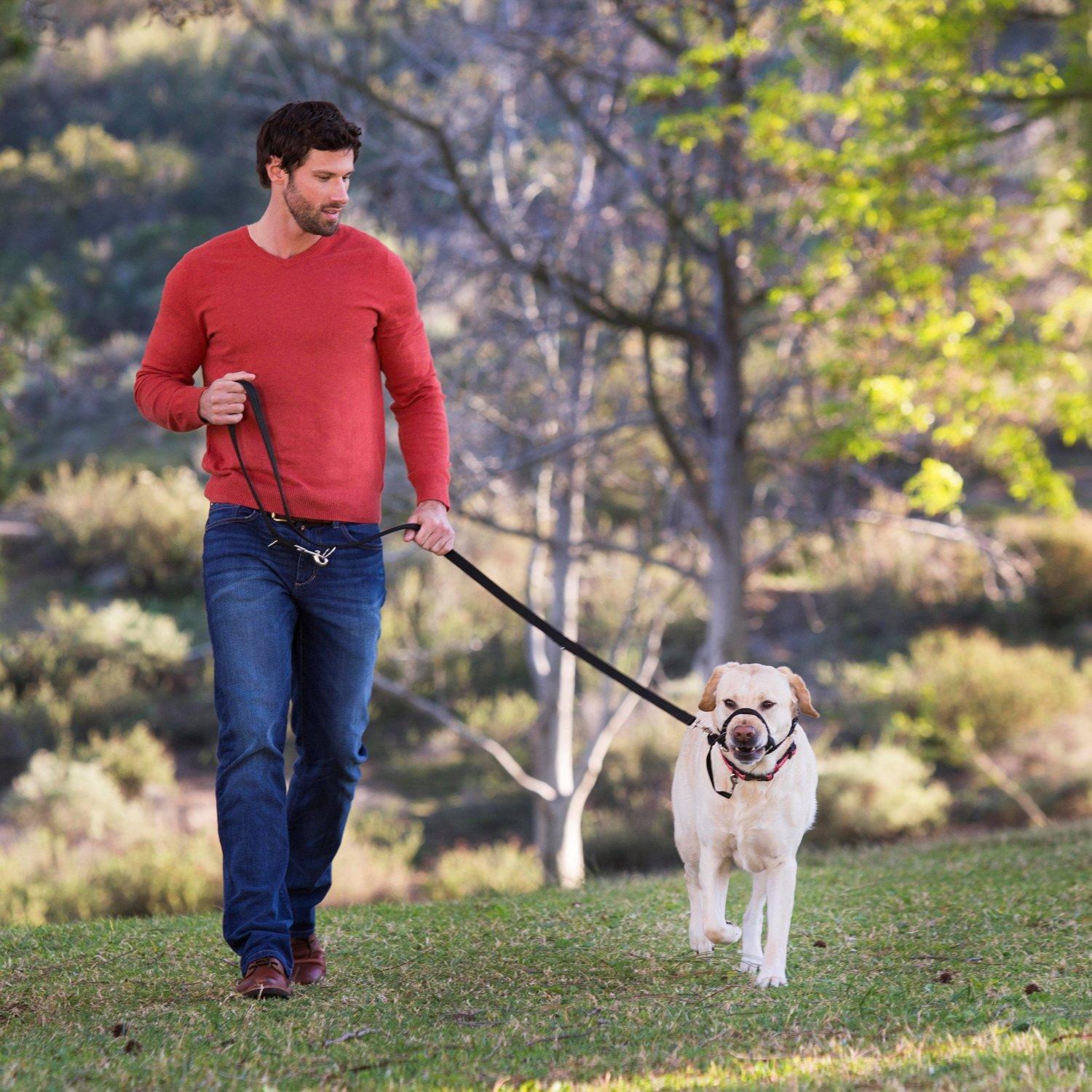 Halti Training Lead For Dogs for walking