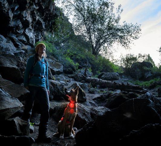 The Beacon by Ruffwear  Safety Light