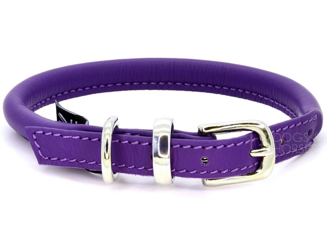 D&H Contemporary Rolled Leather Dog Collar purple