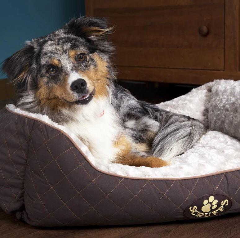 Scruffs Wilton Box Bed For Dogs Brown